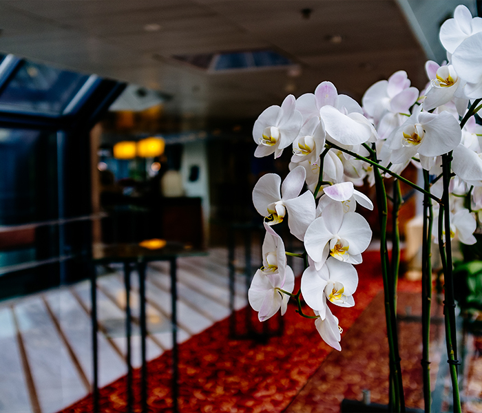 Otellerde Neden Yapay Bitki Tercih Edilmeli?