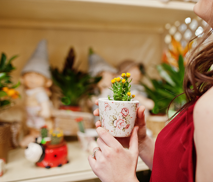 Saksı Seçimi Mekânın Ruhunu Belirler